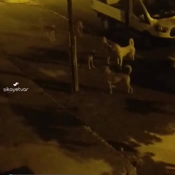 Tarım Ve Orman Bakanlığı Acil Çözüm Bulun!