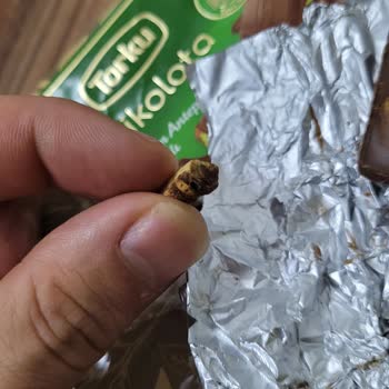 Torku Antep Fıstıklı Çikolatadan Tahta Parçası Çıkması: Sağlık Ve Güven Sorunu