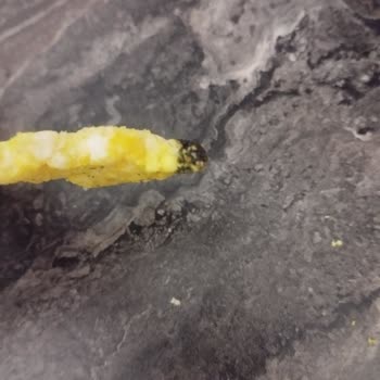 Eti Gong Ürününde Siyah Yabancı Maddeyle Karşılaştım, Güvenim Sarsıldı