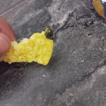 Eti Gong Ürününde Siyah Yabancı Maddeyle Karşılaştım, Güvenim Sarsıldı