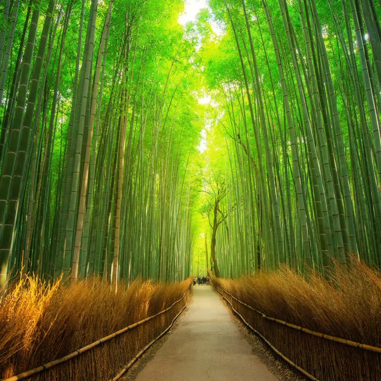 Bir Aydır İnternet Kurulumu Yapılmadı, Mağduriyetim Devam Ediyor