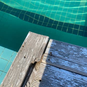 Karya Family Resort Hotelde Temizlik İlgisizlik Ve Yemek Sorunları Yaşadım