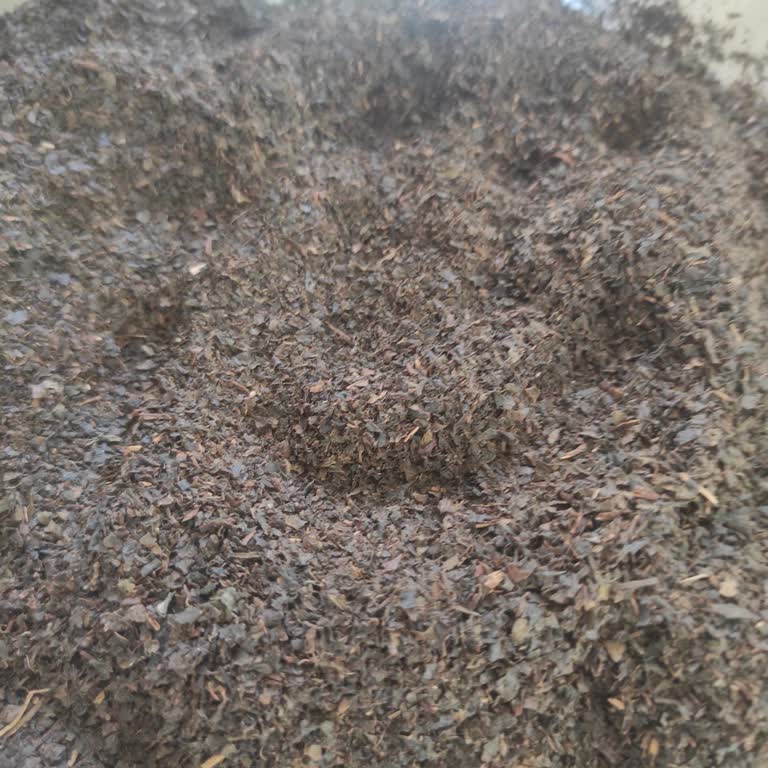 Çaykur Çaylarında Son Dönemde Toz Ve Kalite Sorunu