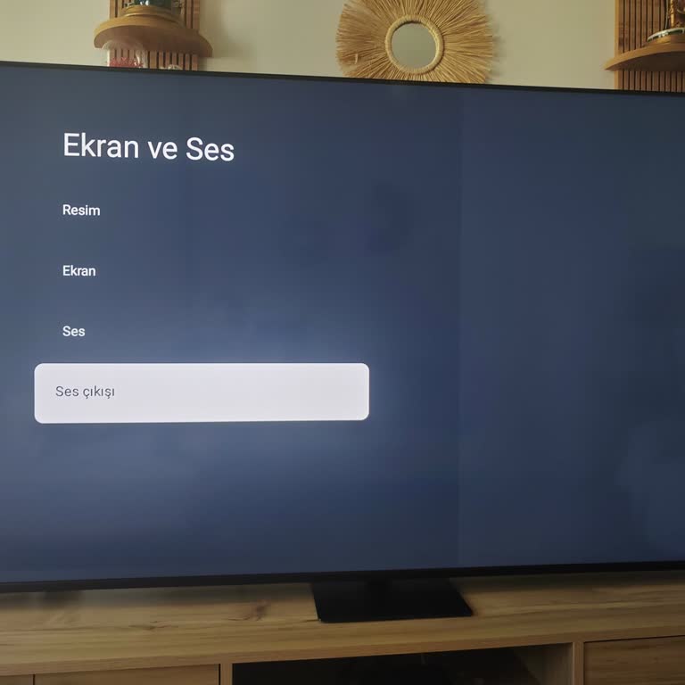 Televizyonumda Earc Ses Çıkışı Sorunu Yaşıyorum