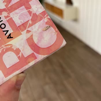 Satın Aldığım BB Kremden Böcek Çıktı, Sağlığım Tehlikede!