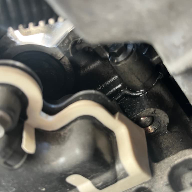 Yetkili Serviste Yapılan Bakımlara Rağmen Devam Eden Motor Sorunları Ve Garanti Mağduriyeti