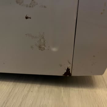 Arçelik Bulaşık Makinemde Sürekli Su Alma Ve Paslanma Sorunları Çözülmüyor