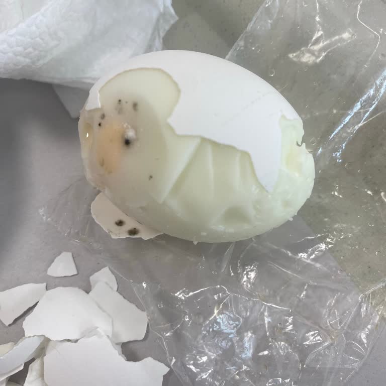 Kahvaltıda Küflü Yumurta İle Karşılaştım