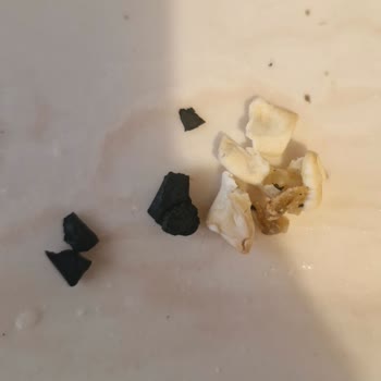 Aldığım Mantıdan Yabancı Cisim Ve Siyah Maddeler Çıktı Sağlığım Tehlikeye Girdi