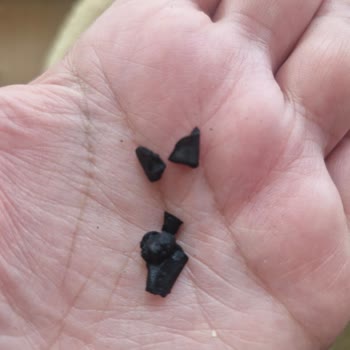 Aldığım Mantıdan Yabancı Cisim Ve Siyah Maddeler Çıktı Sağlığım Tehlikeye Girdi