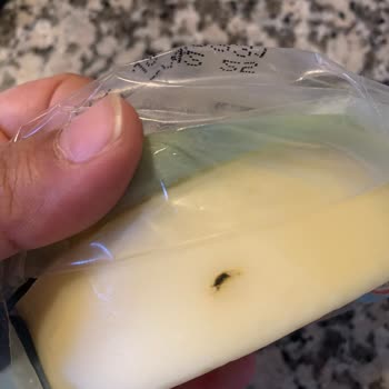 Sütaş Kaşar Peynirinde Şüpheli Maddeyle Karşılaştım