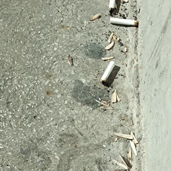 Stadyumda Sürekli Çöp Ve Temizlik Sorunu Çözülmüyor