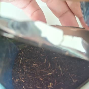 Efor Harman Çay Paketlerinde Yabancı Madde Ve Ot Sorunu