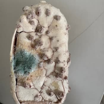 Migros Sanal Market'ten Üst Üste Bozulmuş Ve Küflü Dondurma Teslimatı