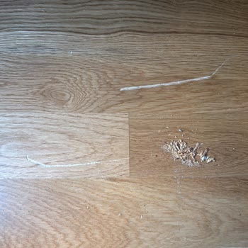 Onarım Sonrası Mobilya ve Parke Sorunları Hakkında Şikayet