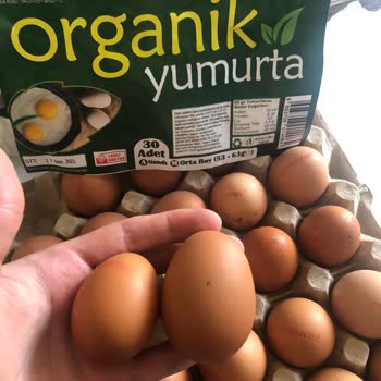 Orta Boy Diye Satılan Yumurtaların Küçük Çıkması Ve Güven Sorunu