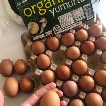 Orta Boy Diye Satılan Yumurtaların Küçük Çıkması Ve Güven Sorunu