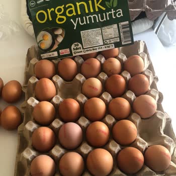 Orta Boy Diye Satılan Yumurtaların Küçük Çıkması Ve Güven Sorunu