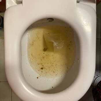 Yurt Odasında Süregelen Klozet Ve Kapı Sorununa Çözüm Bekliyoruz