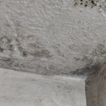 Yalıtım Sonrası Çatıdan Su Sızıyor, Firma Sorumluluk Almıyor Mağduriyet Sürüyor