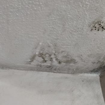 Yalıtım Sonrası Çatıdan Su Sızıyor, Firma Sorumluluk Almıyor Mağduriyet Sürüyor