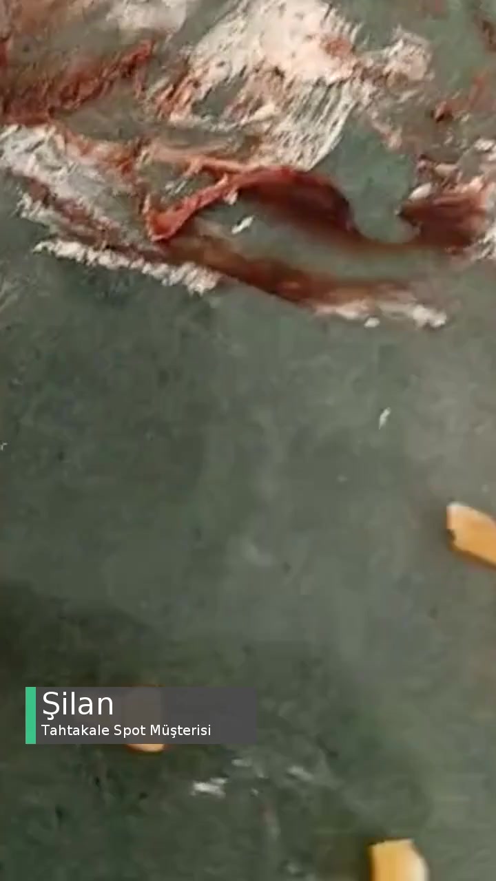 Tahtakale Spot Yaş Pastan Çıkan Yabancı Nesne videonun kapak resmi