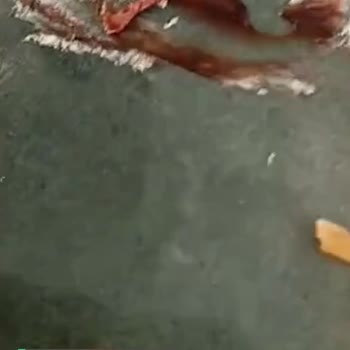 Tahtakale Spot Yaş Pastan Çıkan Yabancı Nesne