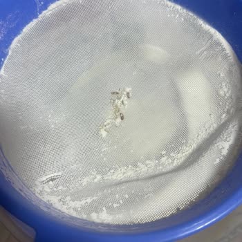 Aldığım Unlarda Son Kullanma Tarihi Geçmemiş Olmasına Rağmen Kurt Çıktı