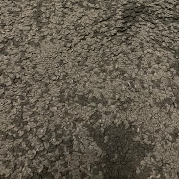 IKEA Stoense Halıda Keçeleşme Sorunu Ve Müşteri Hizmetlerinde Çözüm Bulamamak