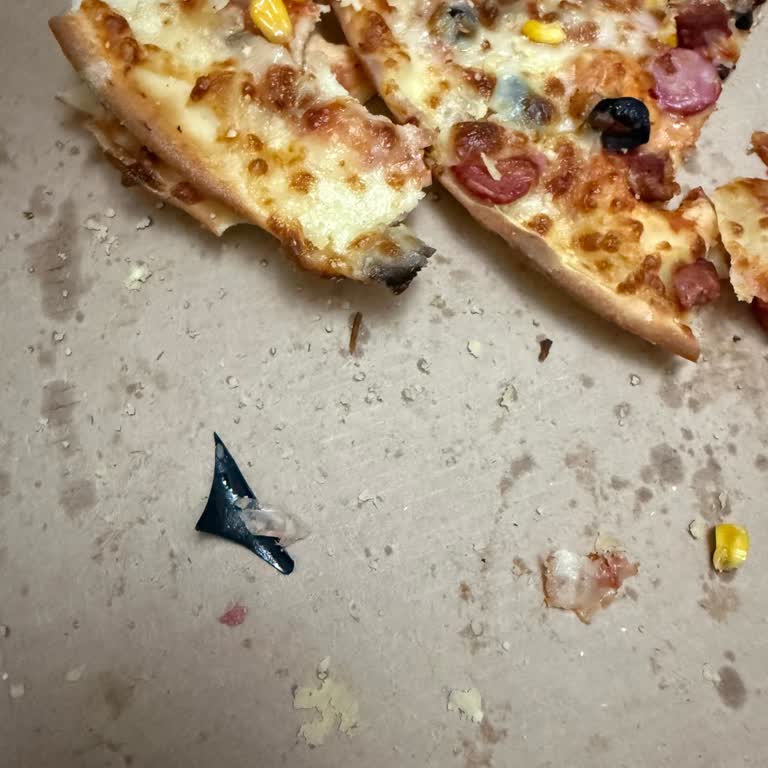 Karışık Pizzadan Çıkan Plastik Parça Çocuklarımızı Riske Attı