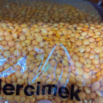 A101 Mağazasında Sürekli Böcekli Ürün Sorunu!