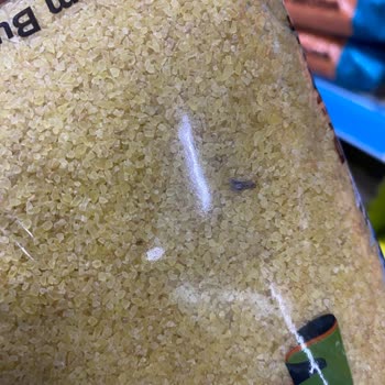 A101 Mağazasında Sürekli Böcekli Ürün Sorunu!