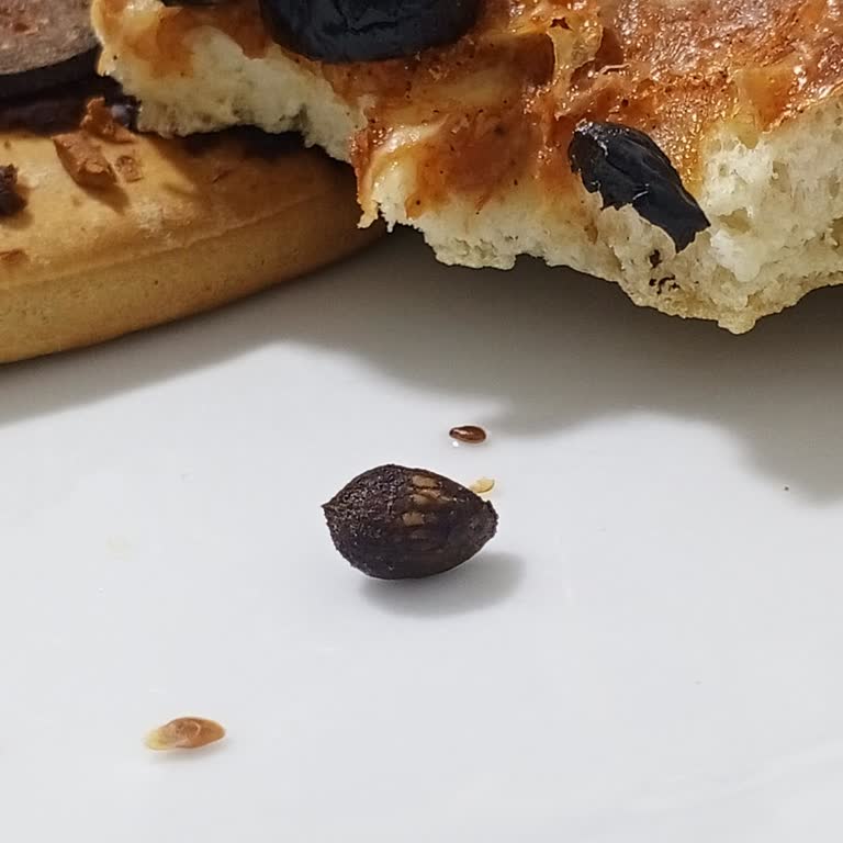 Dondurulmuş Pizza İçinden Zeytin Çekirdeği Çıktı, Hayal Kırıklığı Yaşadım