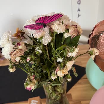 Solmuş Çiçek Buketi Gönderildi Mağduriyetimin Giderilmesini İstiyorum