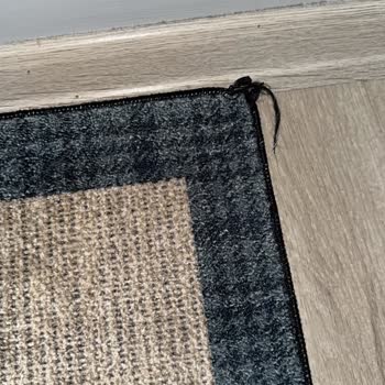 Karaca Halılarında Kısa Sürede Sökülme Ve Renk Solması Yaşadım