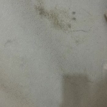 Halı Yıkama Sonrası Leke Ve Kötü Koku Problemi, İlgisiz Müşteri Hizmeti