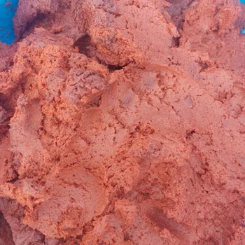 Er Mis Domates Salçası Kokuyordu