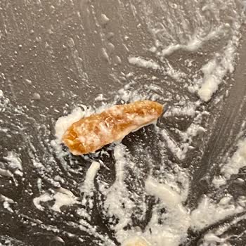 Aldığım Yoğurtta Kurt Çıkması Nedeniyle Yaşadığım Hijyen Sorunu