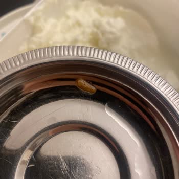 Aldığım Yoğurtta Kurt Çıkması Nedeniyle Yaşadığım Hijyen Sorunu