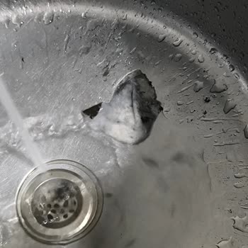 Dimes Ekşi Elma Ürününde Yabancı Madde Ve Hijyen Sorunu