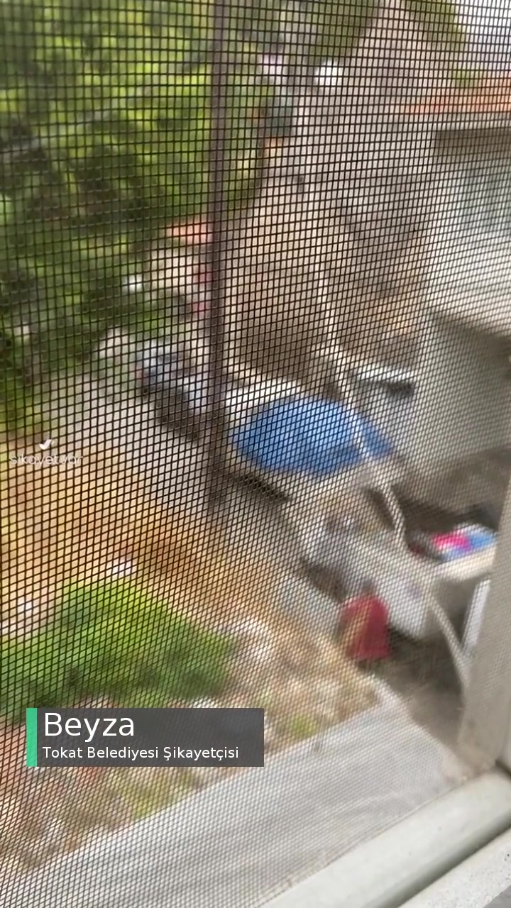 Tokat Belediyesi Mahalle Çöplerinin Alınmaması videonun kapak resmi