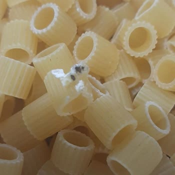 Satın Aldığım Makarna Bozuk Ve Sağlıksız Çıktı: Ürün Değişimi Ve Özür Bekliyorum