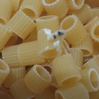 Satın Aldığım Makarna Bozuk Ve Sağlıksız Çıktı: Ürün Değişimi Ve Özür Bekliyorum