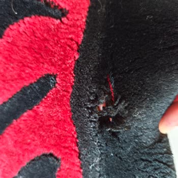 Yırtık Halı, Eksik Teslimat Ve Kaba Müşteri Hizmeti Mağduriyeti