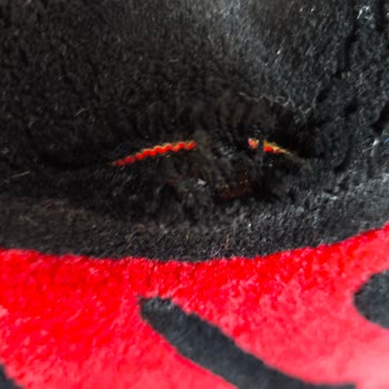 Yırtık Halı, Eksik Teslimat Ve Kaba Müşteri Hizmeti Mağduriyeti