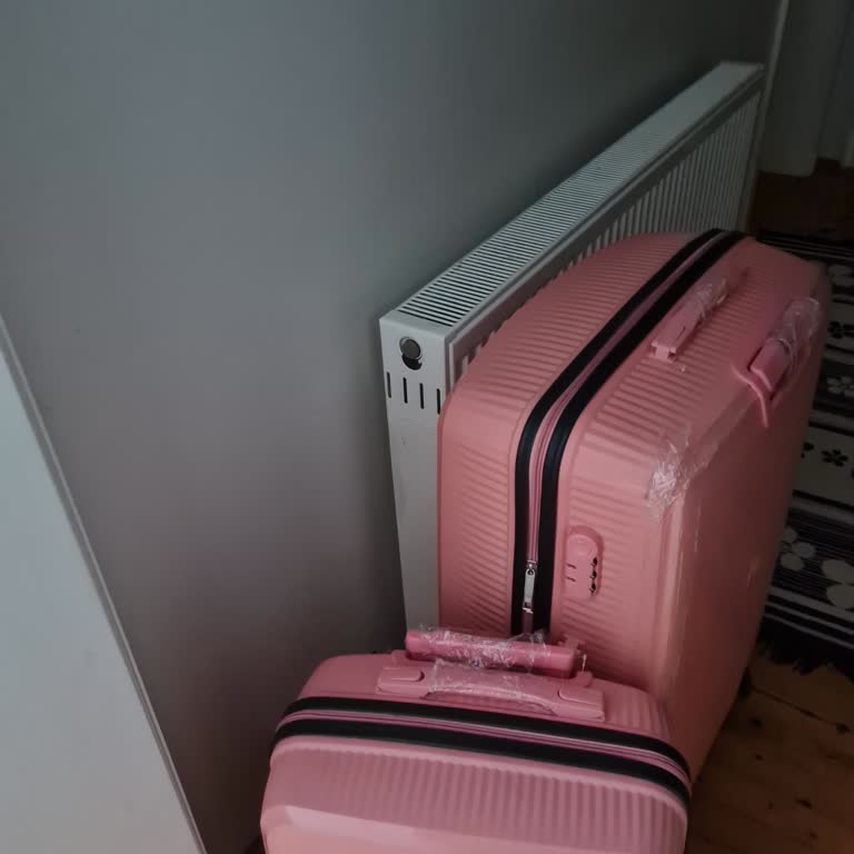 Ajet’s Lost Luggage Scandal: Student Left Stranded In Skopje