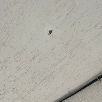 İzinsiz Altyapı Çalışmasıyla Mülküme Zarar Verildi, Muhatap Bulamıyorum