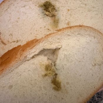 Obaşak Ekmekte Yabancı Cisim Ve Ambalaj Hatası: Açıklama Ve Özür Bekliyorum