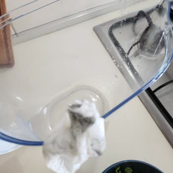 Brita XL Sürahide Sürekli Küflenme Ve Müşteri Hizmetlerinden Yanıtsız Kalma