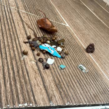 White Deluxe Sapanca'da Hijyen Ve Hizmet Sorunları Yaşadım